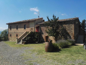Luce di Vino Montalcino